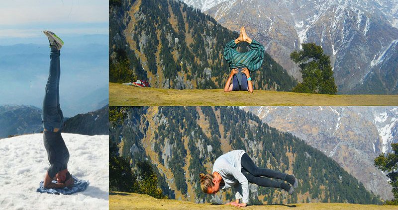 Yoga courses in Dharamsala, India