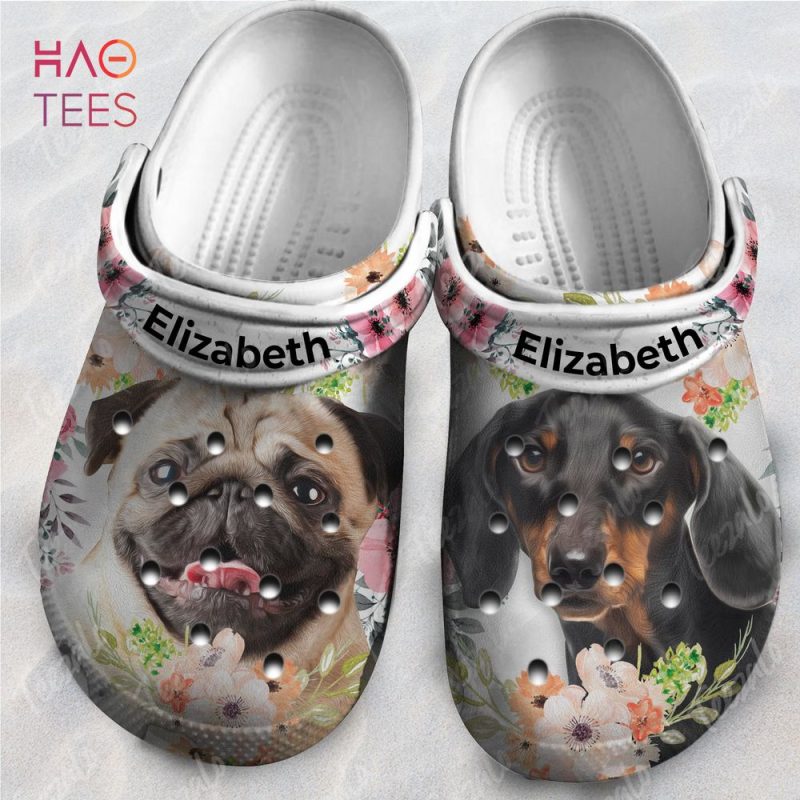 Dog clogs 2025