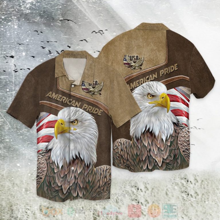 American Pride 3D Hoodie American Pride 3D Hoodie